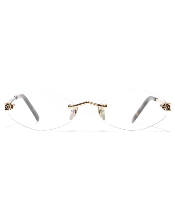 Оправа оптическая Baroncelli 23102 C4 — Optic Space