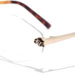 Оправа оптическая Baroncelli 23102 C4 — Optic Space