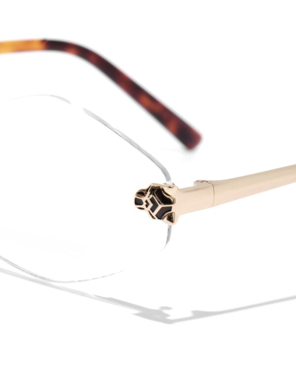 Оправа оптическая Baroncelli 23102 C4 — Optic Space